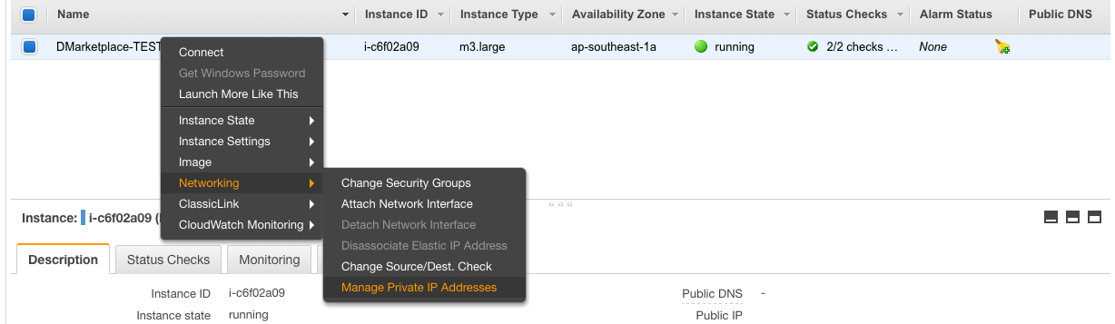 Setting up virtual ip on aws